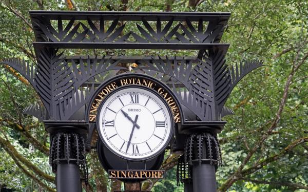 Diese grünen Oasen in Singapur solltest du nicht verpassen
